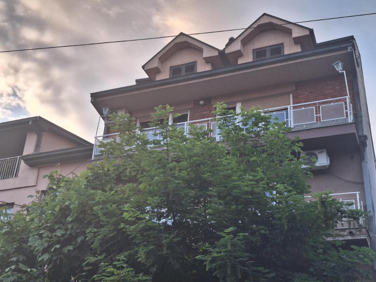 Danica I Vuk Daire Ni Dış mekan fotoğraf